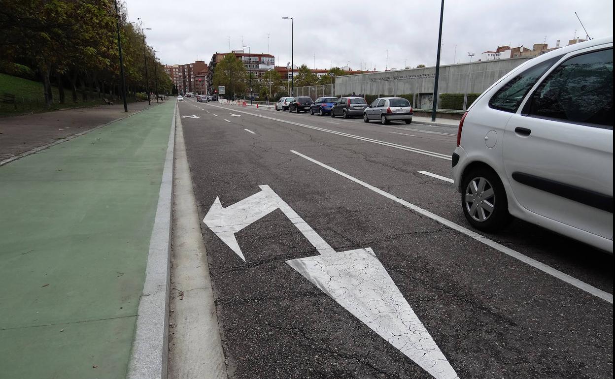 Carril bici del paseo de Juan Carlos I, entre San Isidro y la calle Tórtola.