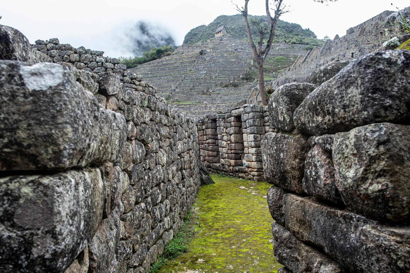 Fotos: La deslumbrante reapertura de Machu Picchu