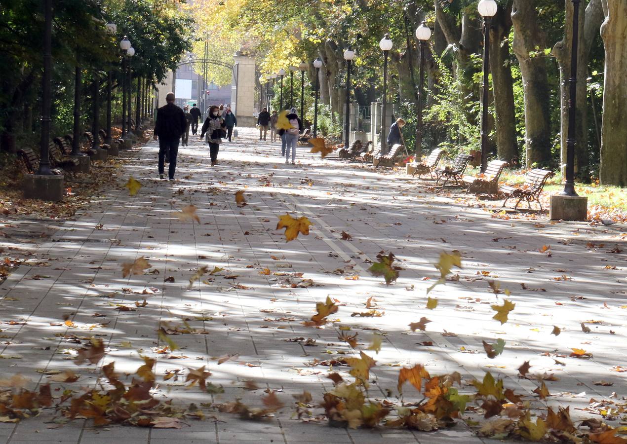 Fotos: Otoño en Valladolid