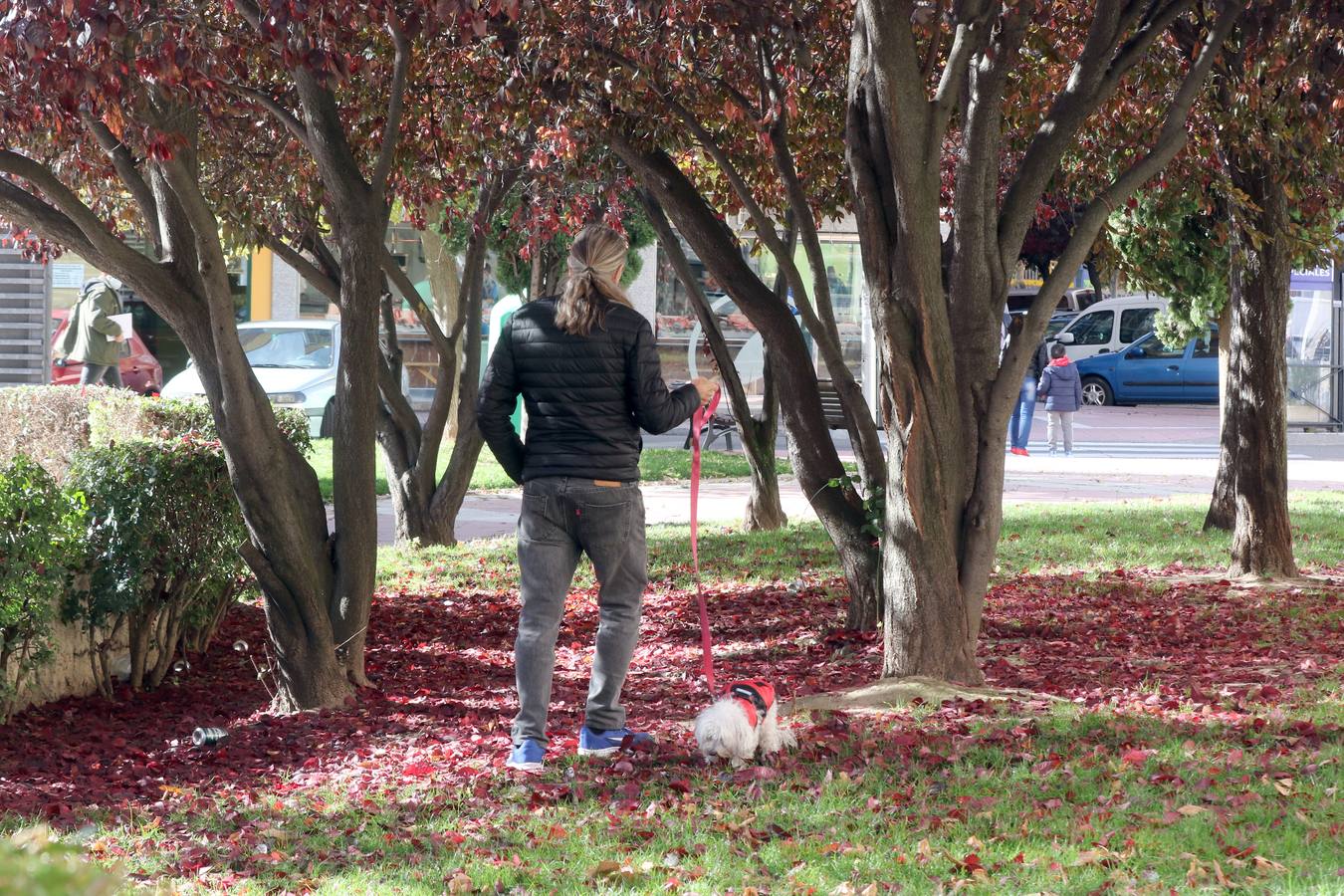 Fotos: Otoño en Valladolid