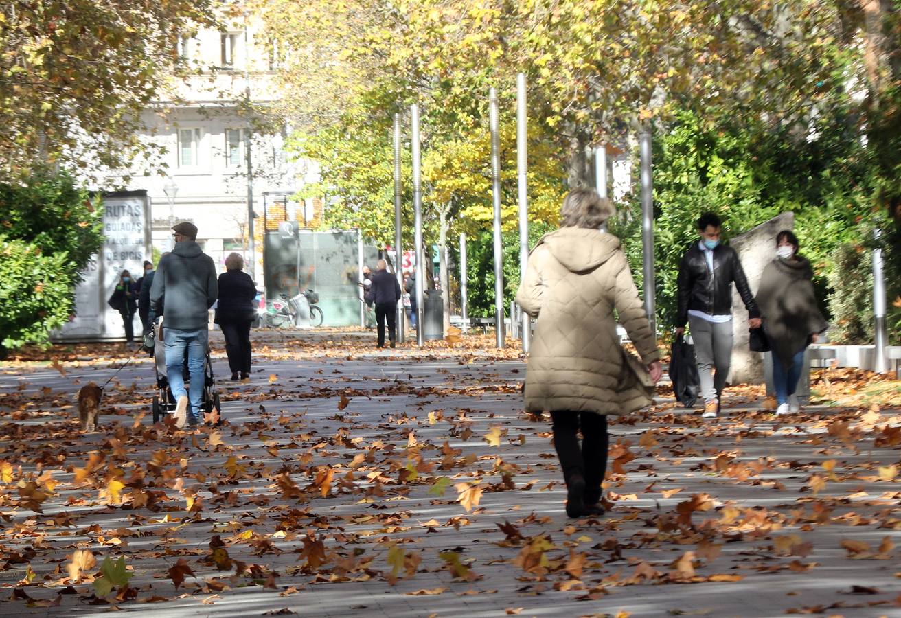 Fotos: Otoño en Valladolid