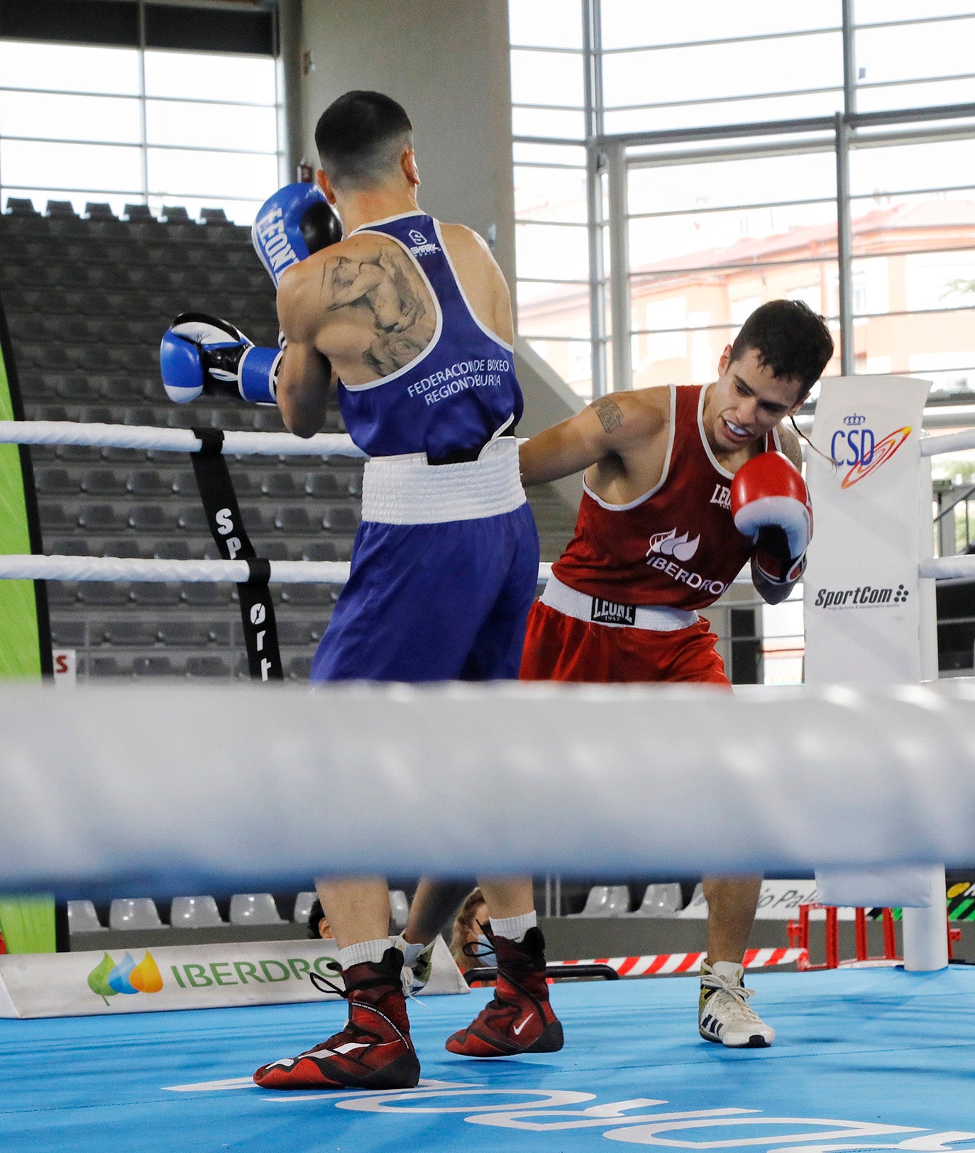 Palencia disfruta del boxeo olímpico.