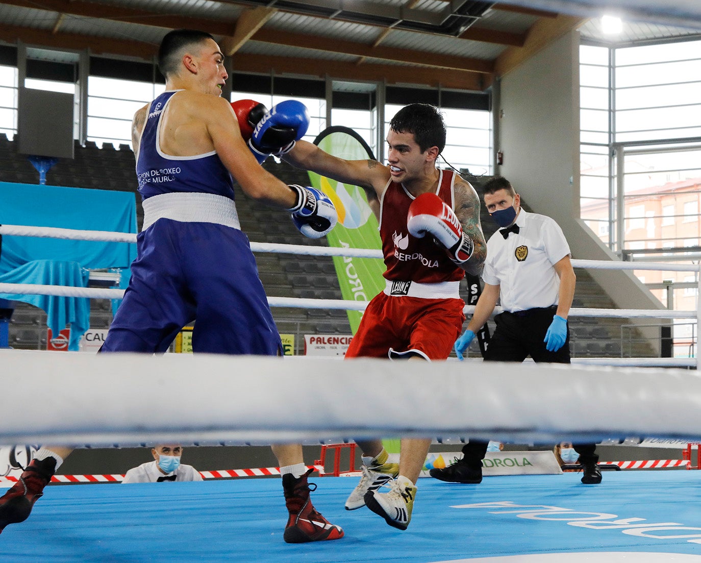 Palencia disfruta del boxeo olímpico.