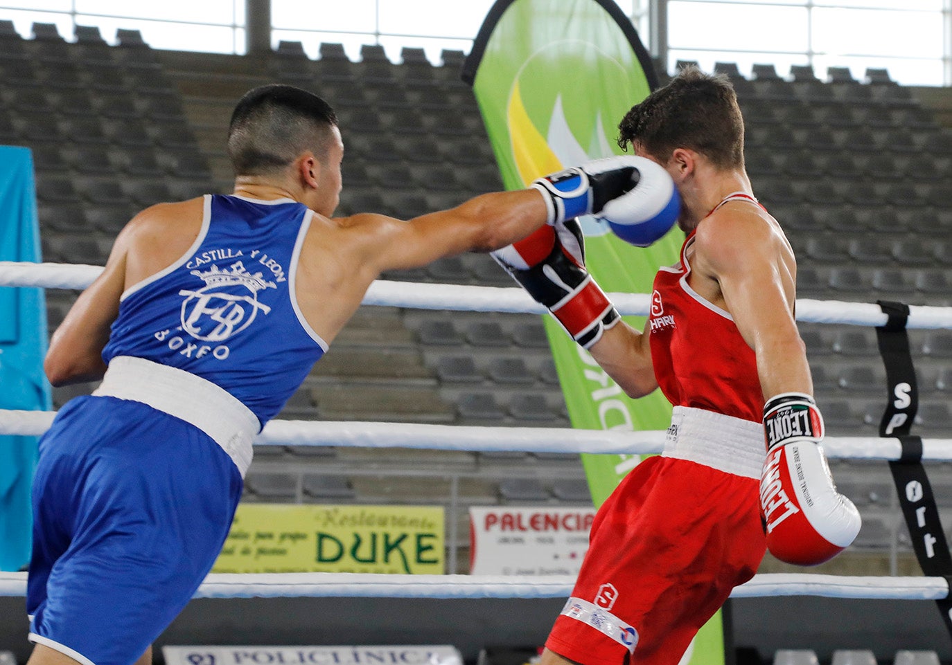 Palencia disfruta del boxeo olímpico.