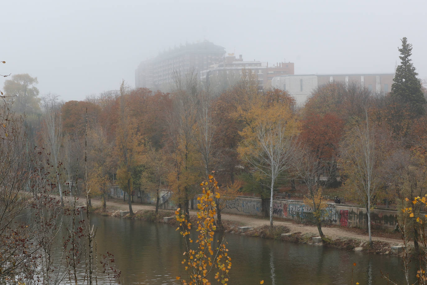 Fotos: Jornada de niebla en Valladolid