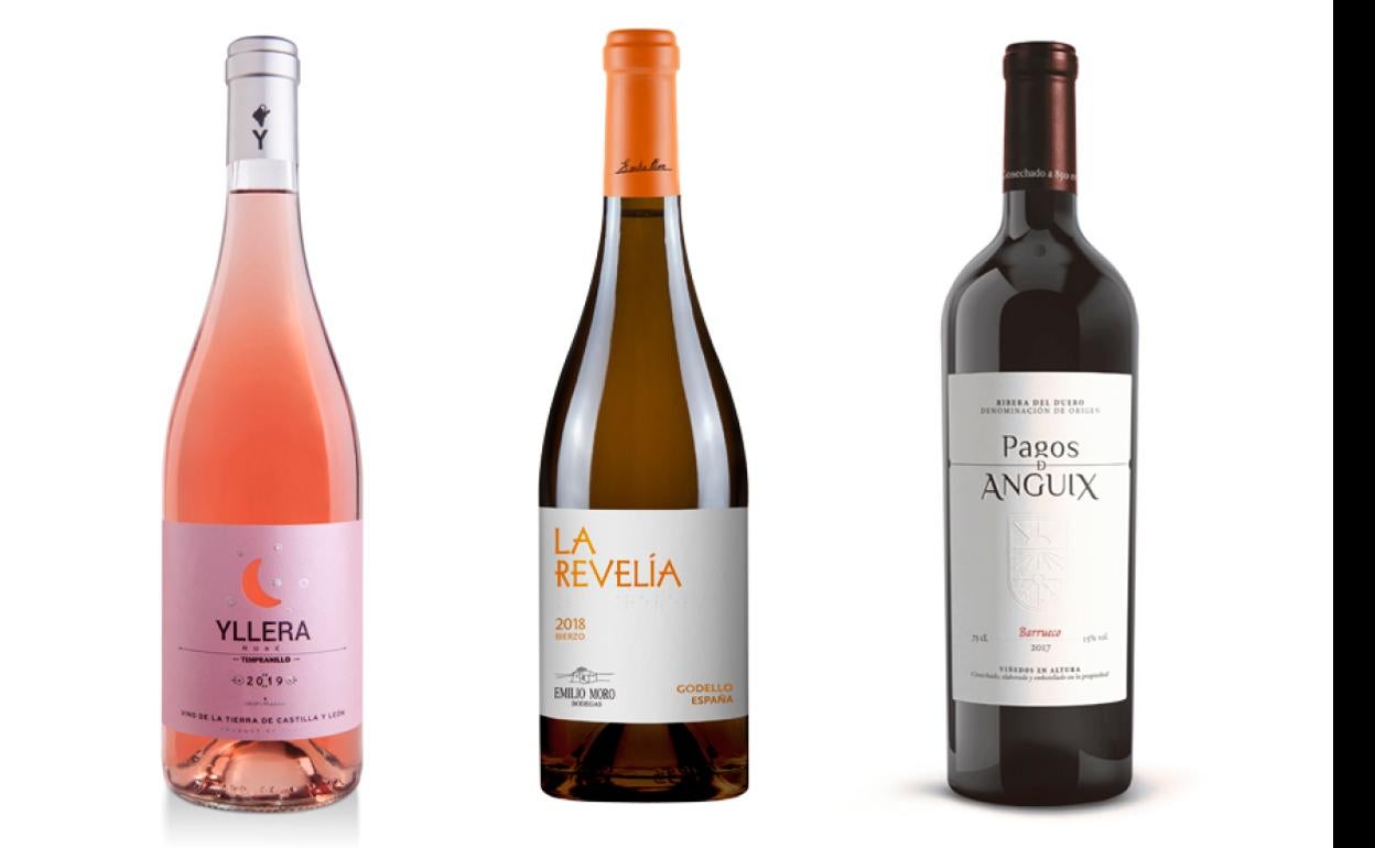 De izquierda a derecha: Yllera Rosé 2019, La Revelía 2018, Barrueco 2017. 