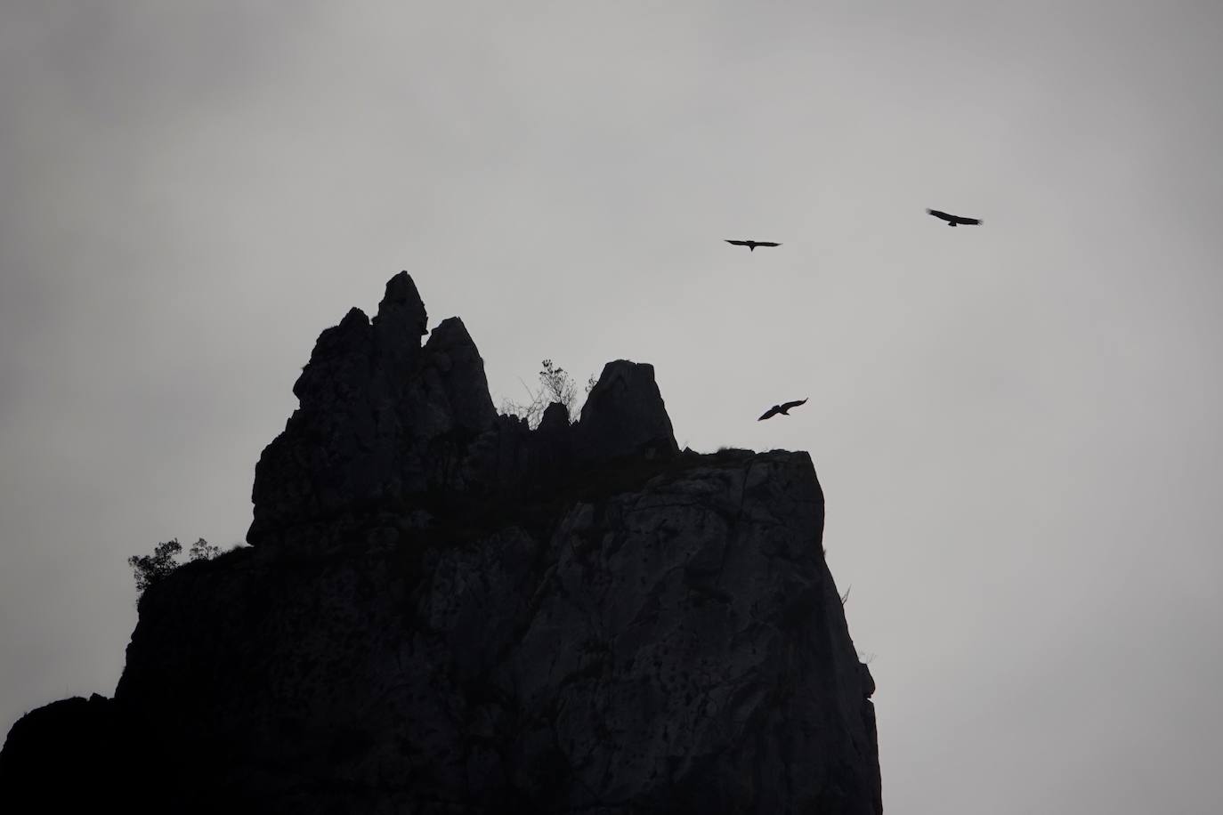 Fotos: Los colores del otoño visten los Picos de Europa