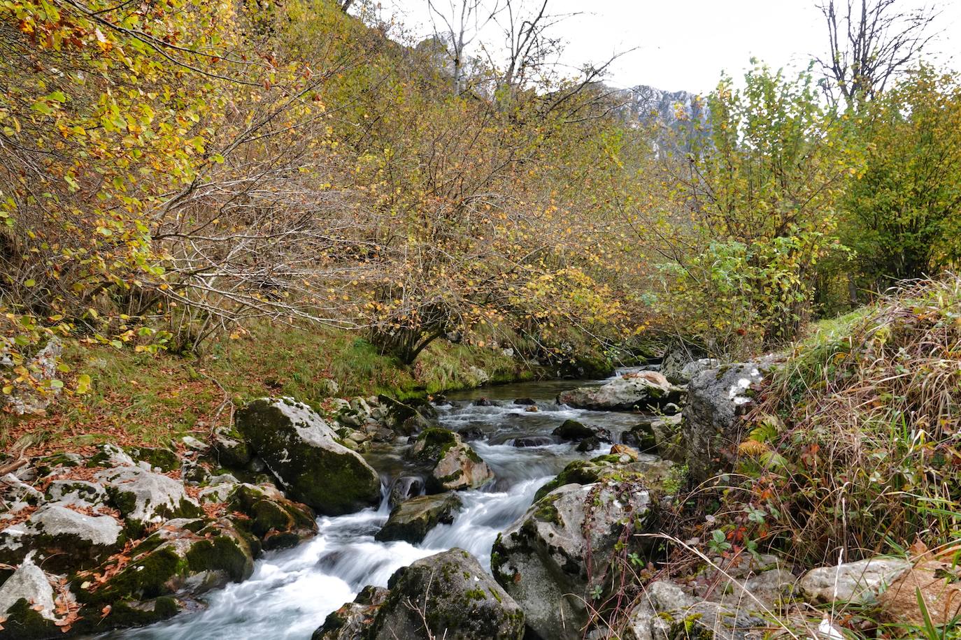 Fotos: Los colores del otoño visten los Picos de Europa