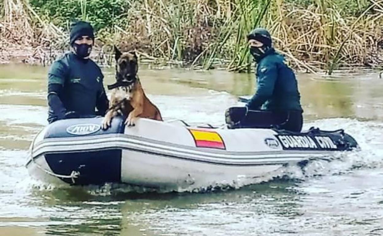 Imagen de esta unidad de la Guardia Civil.