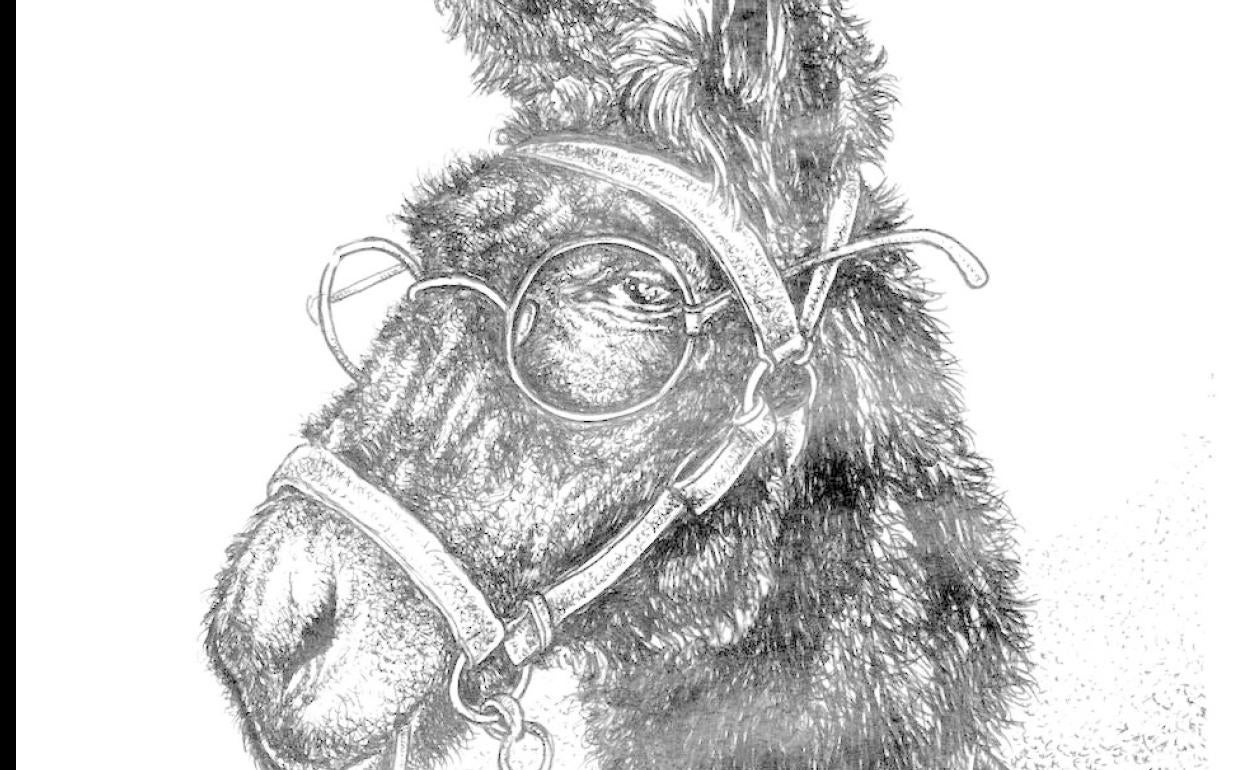 Cátedra del rebuzno