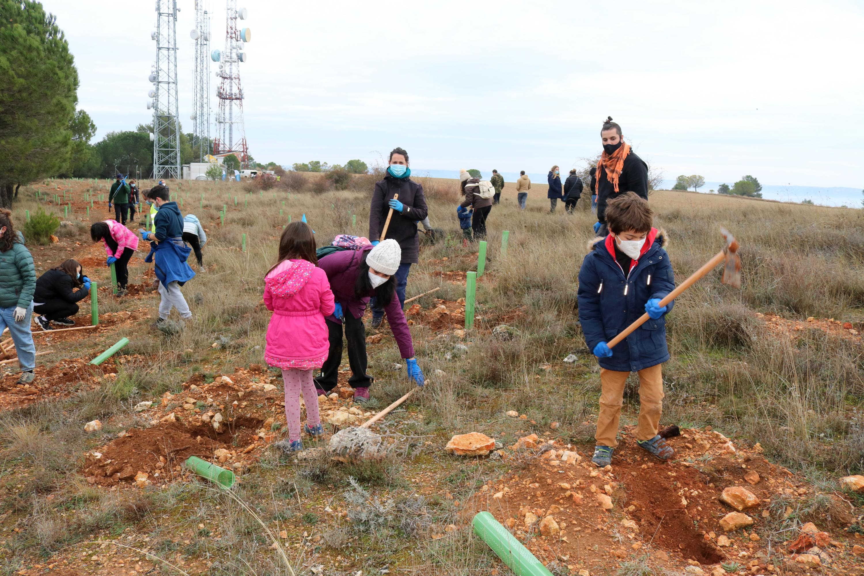 Más de 150 vecinos participaron en la plantación llevada a cabo en Villamuriel de Cerrato