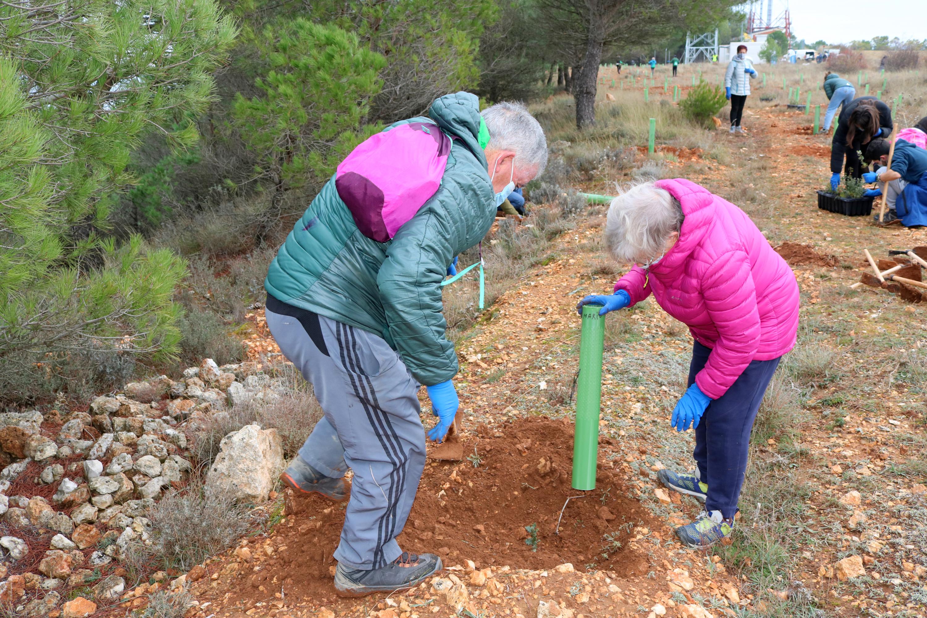 Más de 150 vecinos participaron en la plantación llevada a cabo en Villamuriel de Cerrato