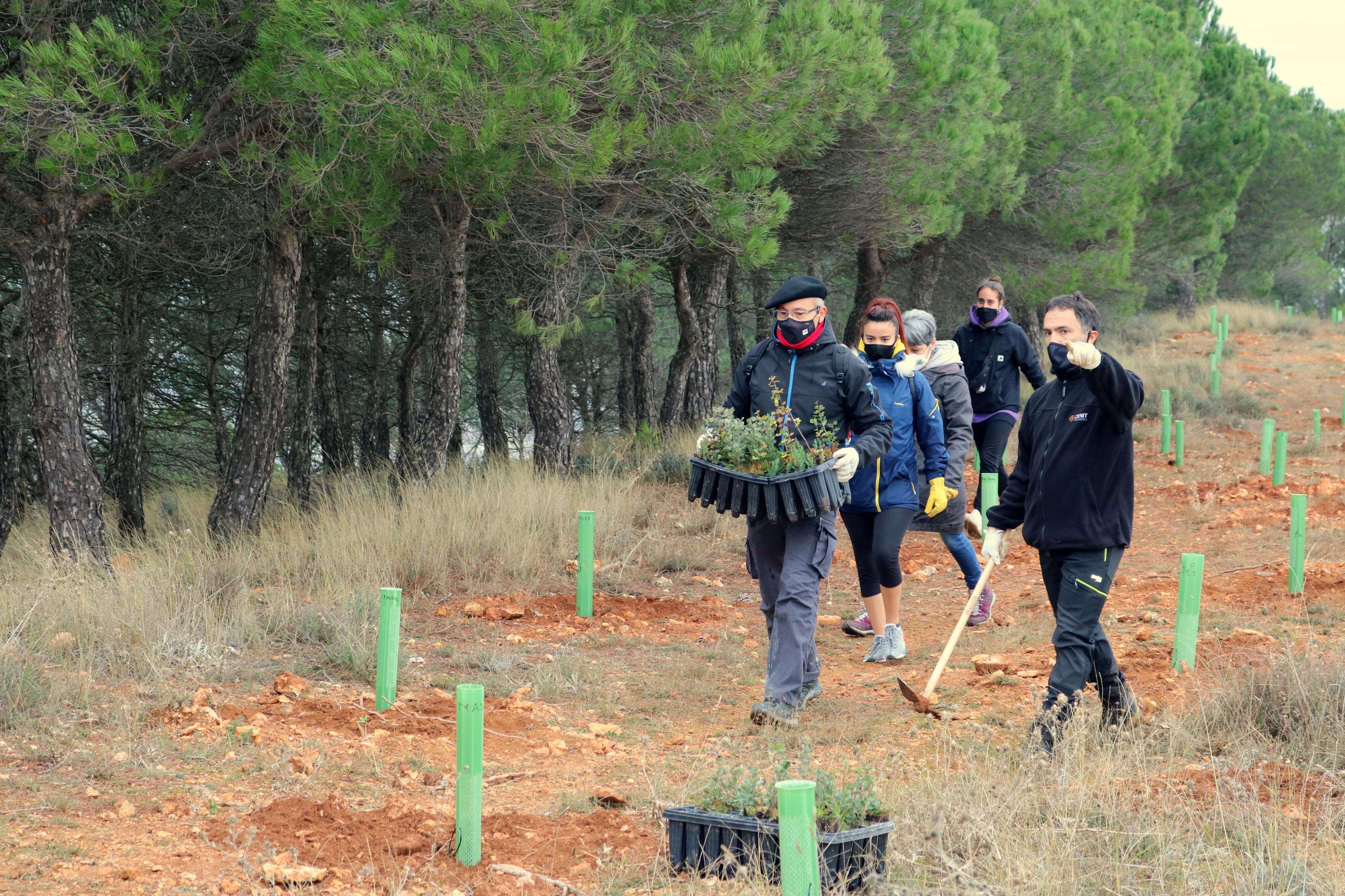 Más de 150 vecinos participaron en la plantación llevada a cabo en Villamuriel de Cerrato