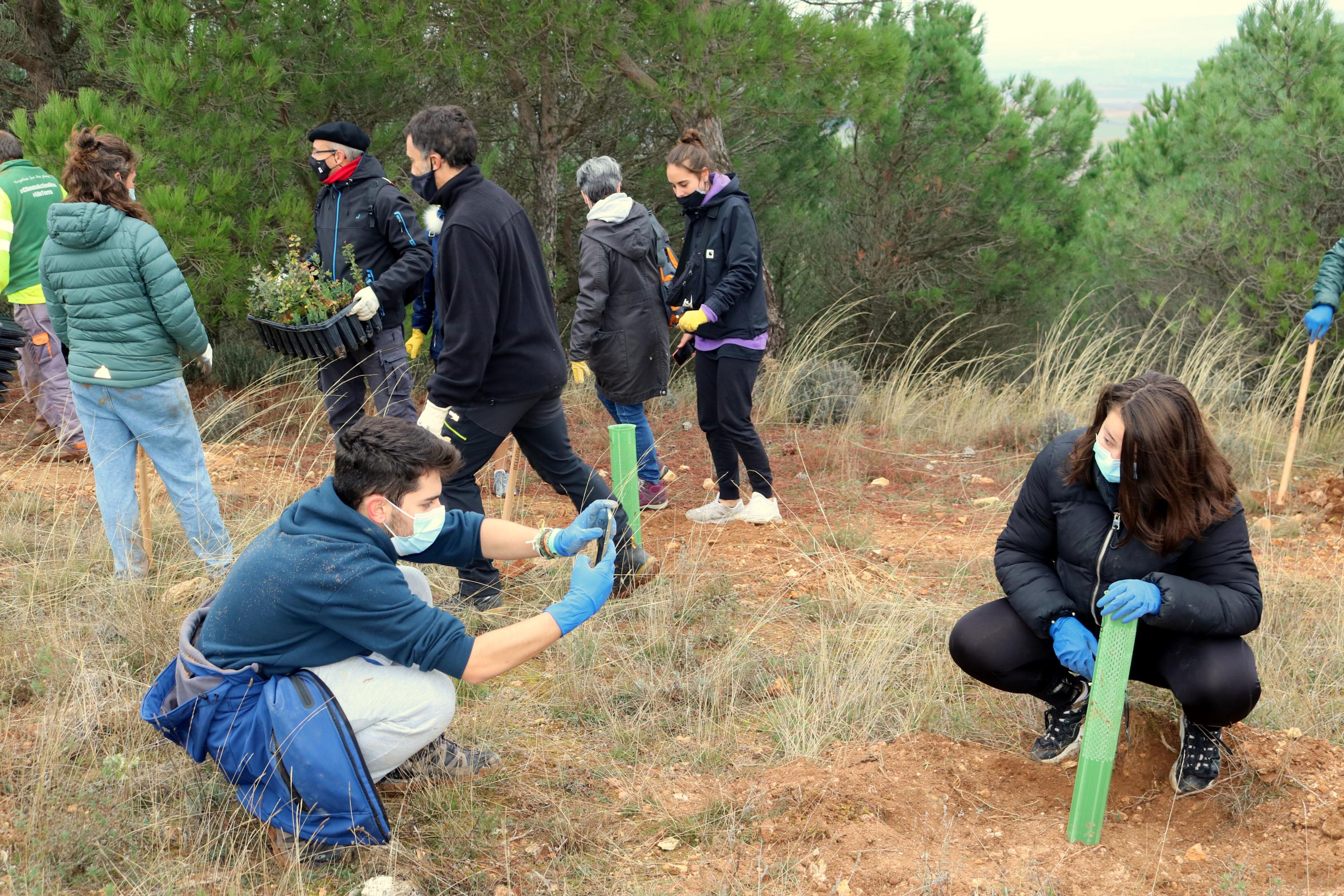 Más de 150 vecinos participaron en la plantación llevada a cabo en Villamuriel de Cerrato