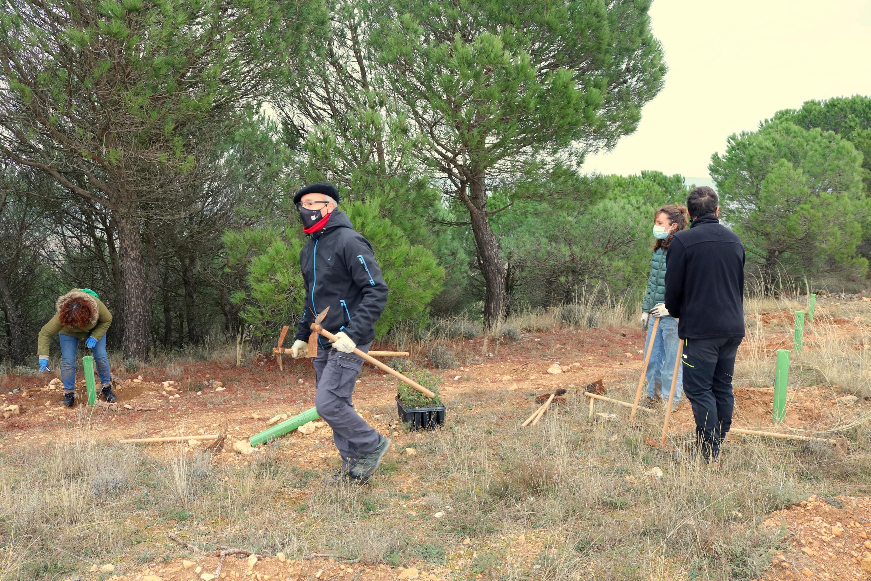 Más de 150 vecinos participaron en la plantación llevada a cabo en Villamuriel de Cerrato