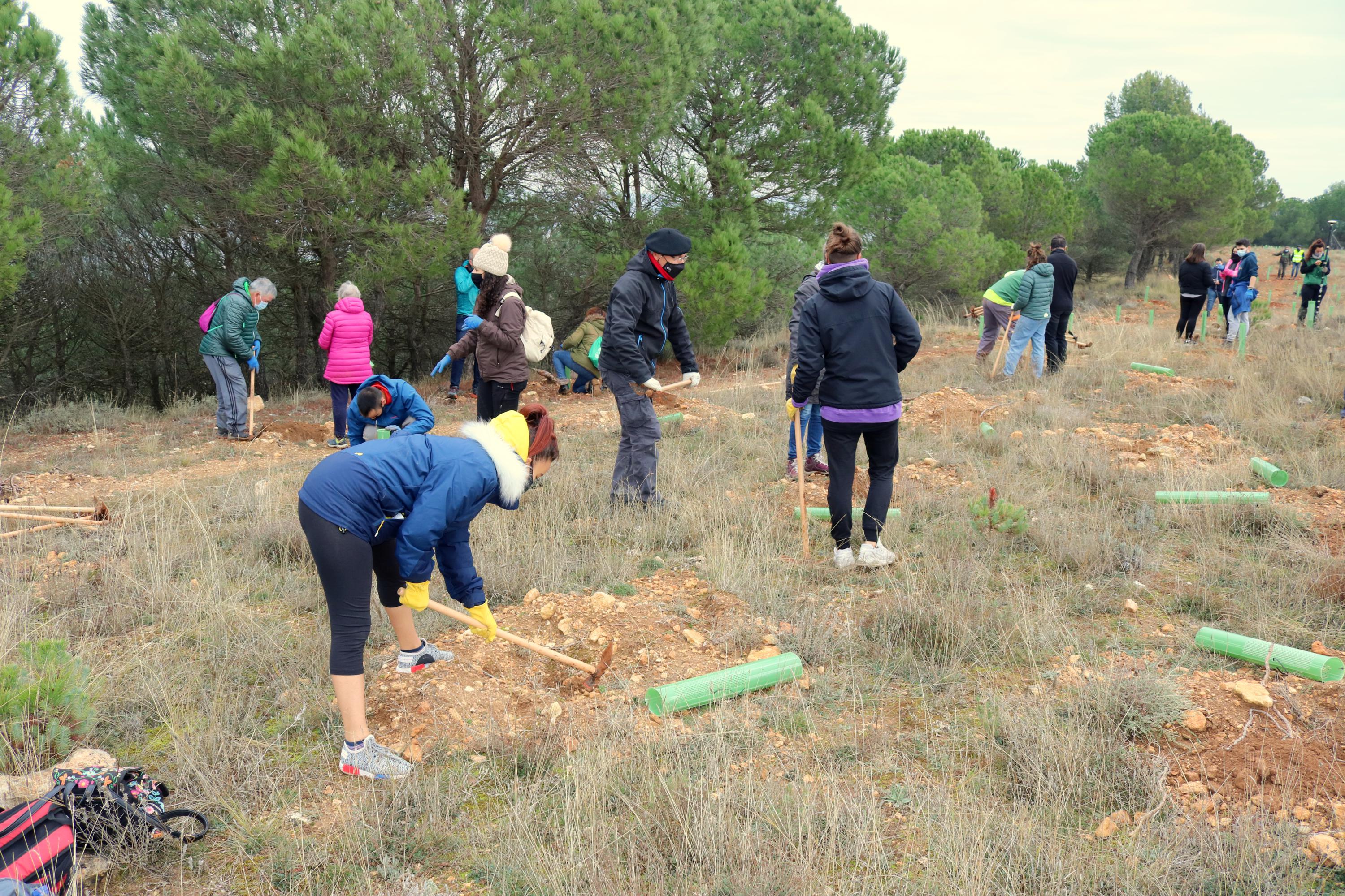 Más de 150 vecinos participaron en la plantación llevada a cabo en Villamuriel de Cerrato