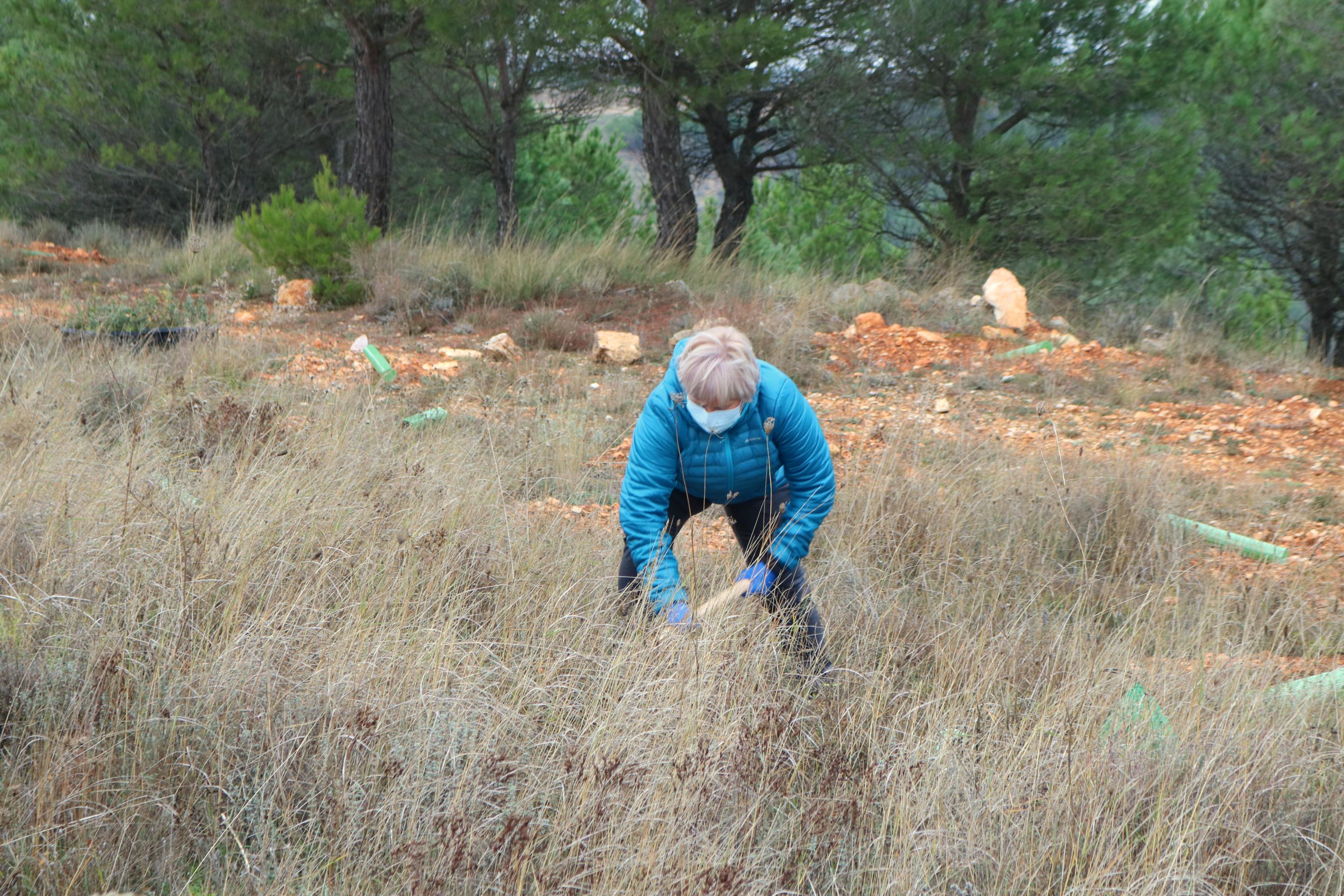 Más de 150 vecinos participaron en la plantación llevada a cabo en Villamuriel de Cerrato