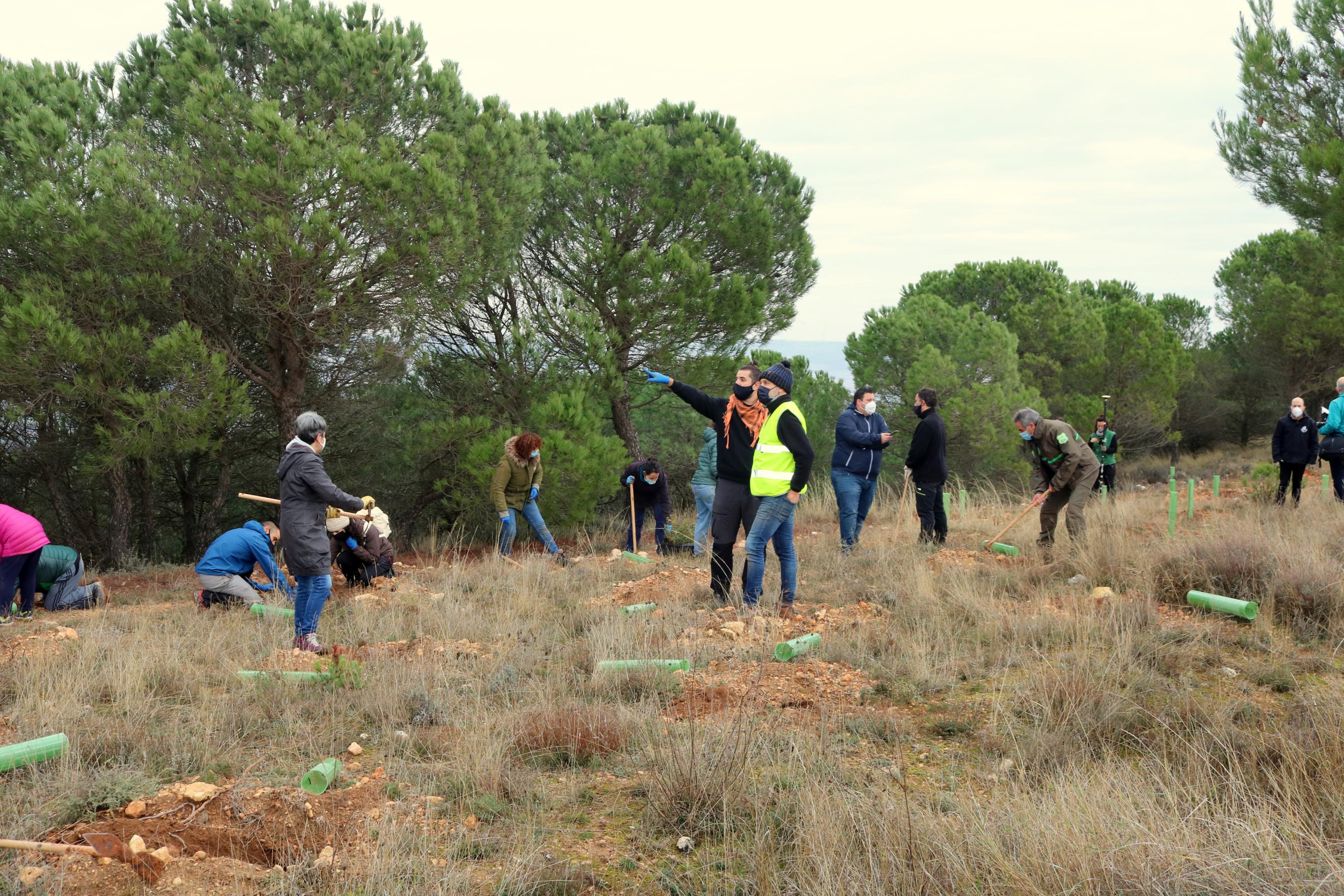 Más de 150 vecinos participaron en la plantación llevada a cabo en Villamuriel de Cerrato