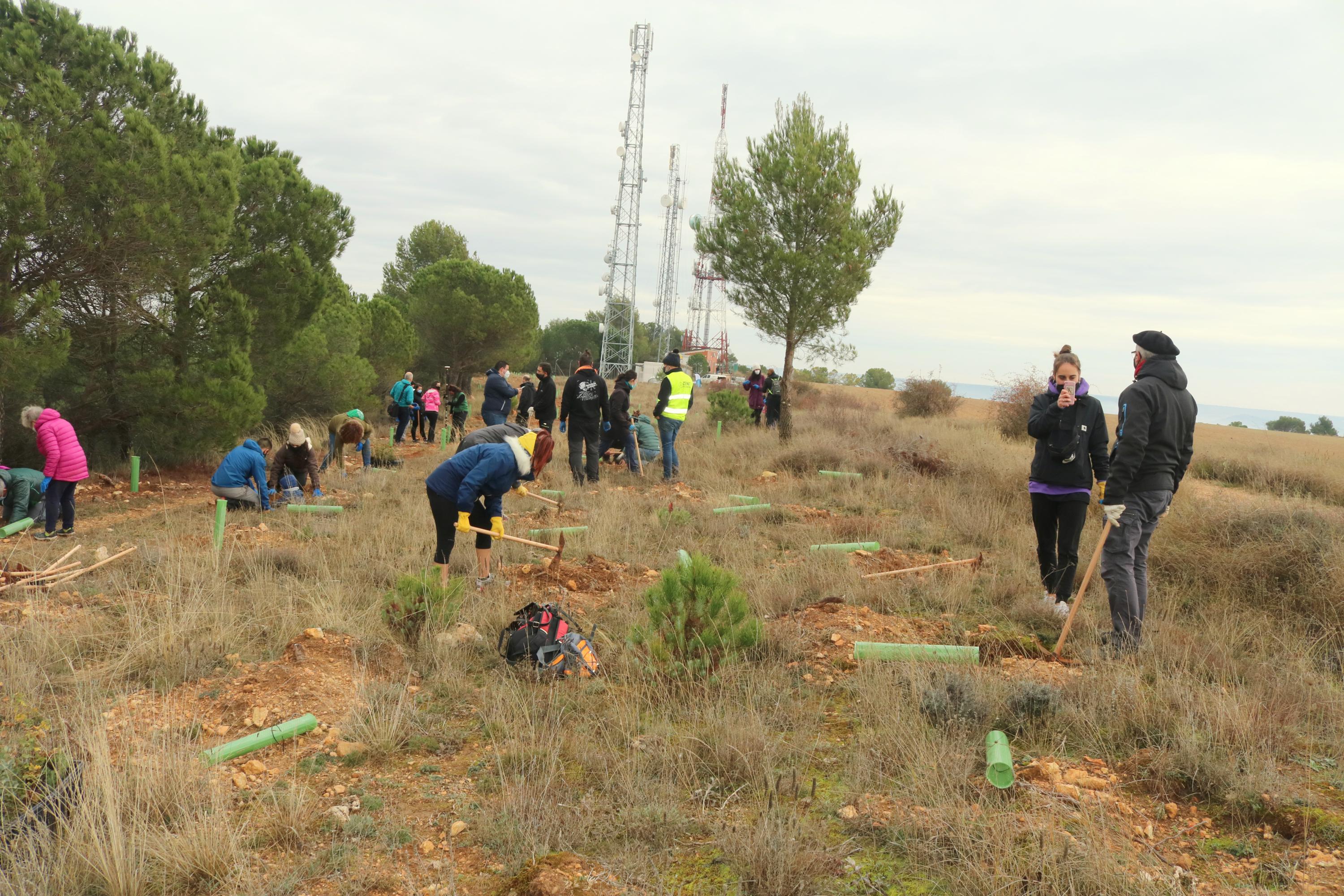 Más de 150 vecinos participaron en la plantación llevada a cabo en Villamuriel de Cerrato