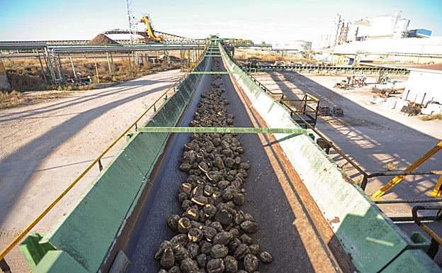 La cooperativa Acor acepta la renuncia de cuatro vocales e incorpora a dos suplentes