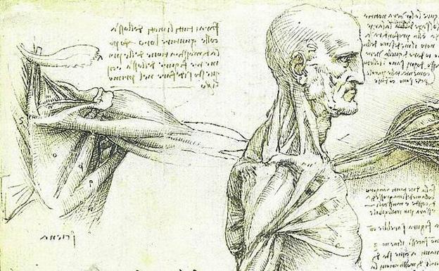 Dibujo de Da Vinci.