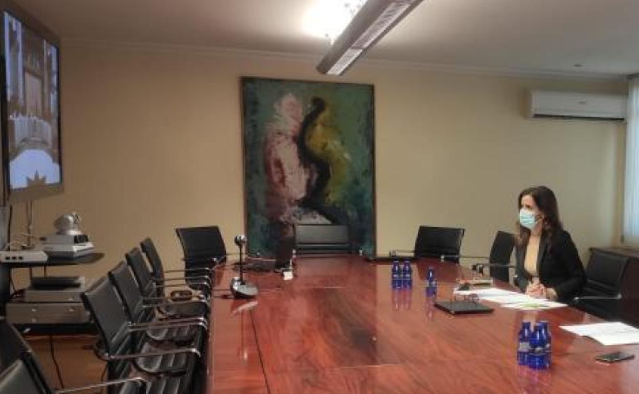 Amigo, en el vídeochat de la mesa de automoción.