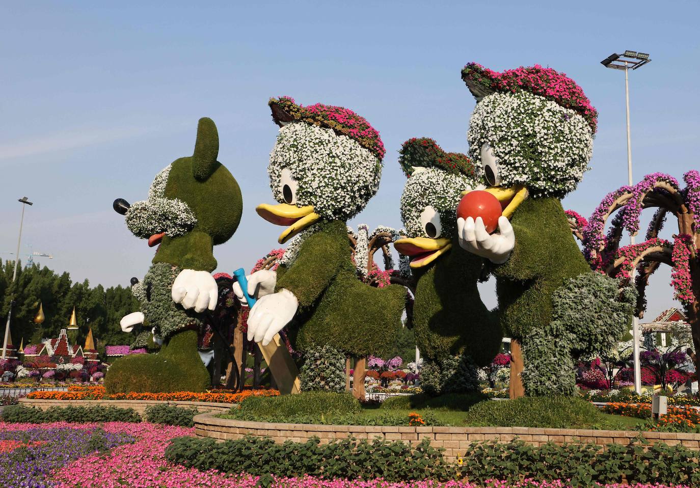 Fotos: El jardín de flores más grande del mundo