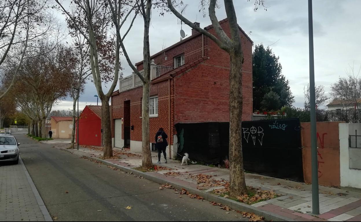 La agresión tuvo lugar en este solar, donde la víctima mantiene a una colonia de gatos, del paseo del Cauce.