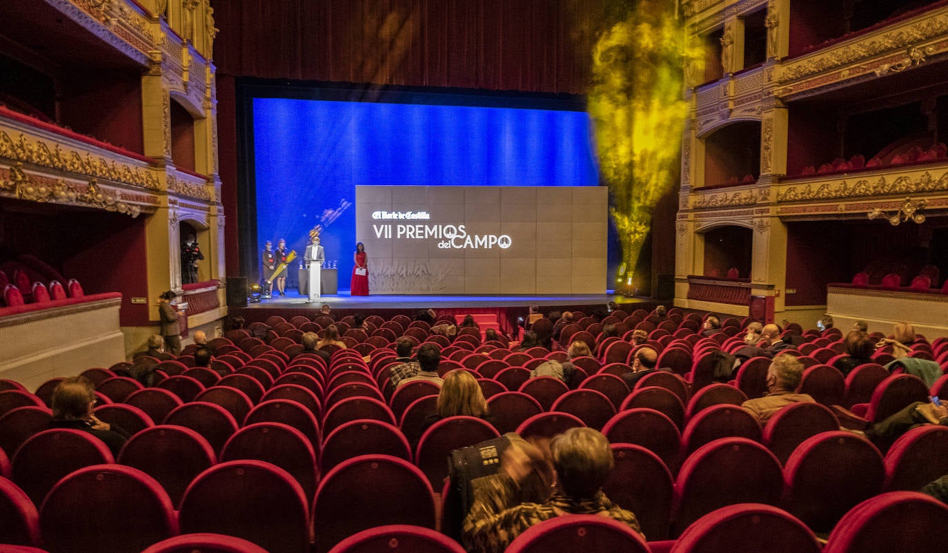 Los premiados, con sus galardones. 