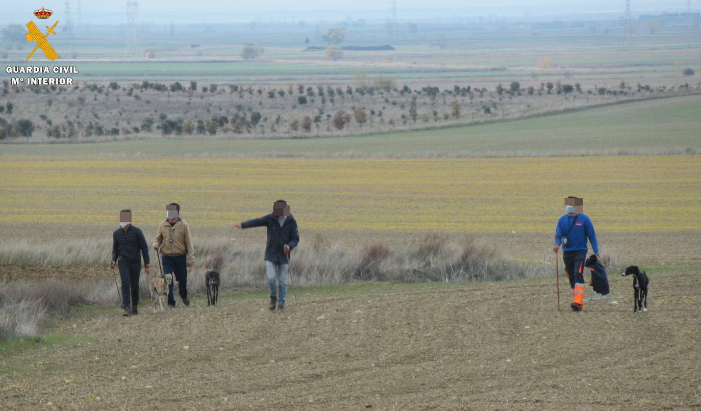 Los cazadores furtivos con galgo sorprendidos por la Guardia Civil.