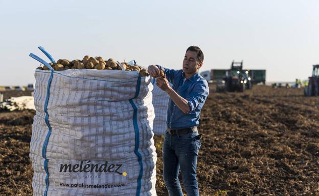 Javier Meléndez: «El sector al completo se merece este año un premio al esfuerzo»