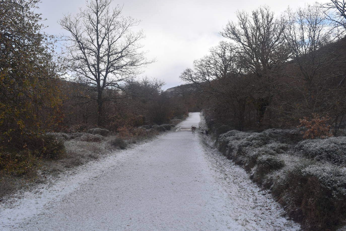 La borrasca Dora provoca las primeras nevadas en la zona norte de Palencia.