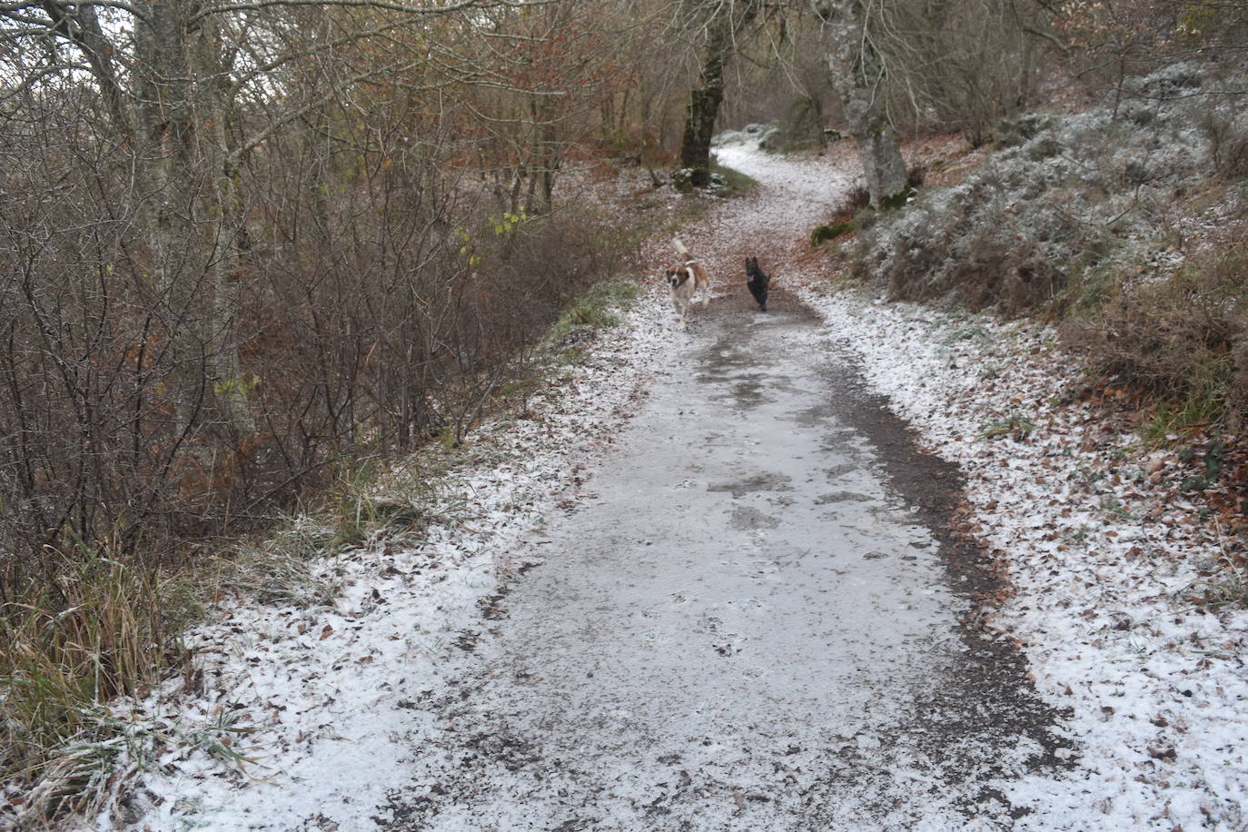 La borrasca Dora provoca las primeras nevadas en la zona norte de Palencia.