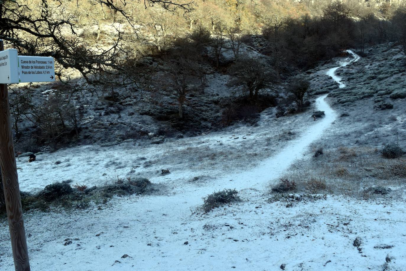 La borrasca Dora provoca las primeras nevadas en la zona norte de Palencia.