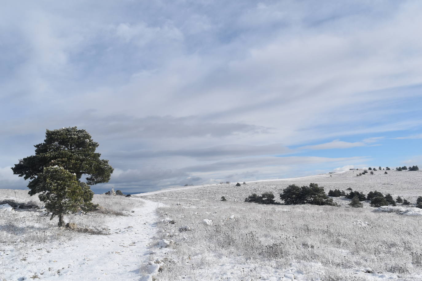 La borrasca Dora provoca las primeras nevadas en la zona norte de Palencia.