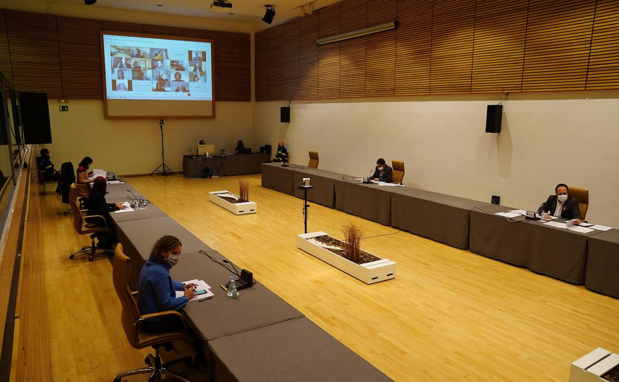 Un momento del pleno celebrado ayer en el palacio de Congresos para mantener la distancia de seguridad.