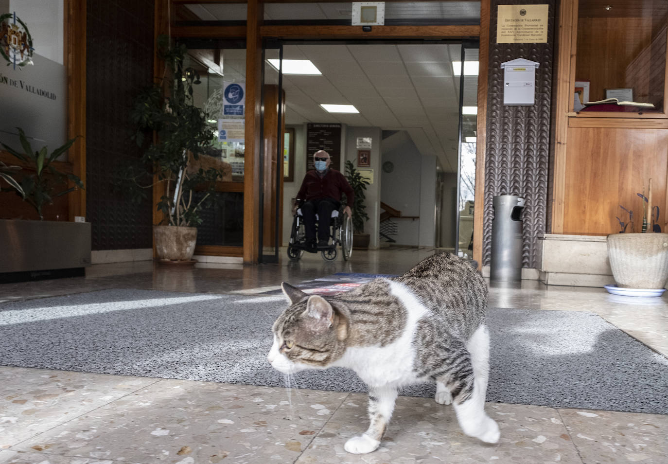 Fotos: Así se vive en la Residencia Cardenal Marcelo tras nueve meses de pandemia de coronavirus