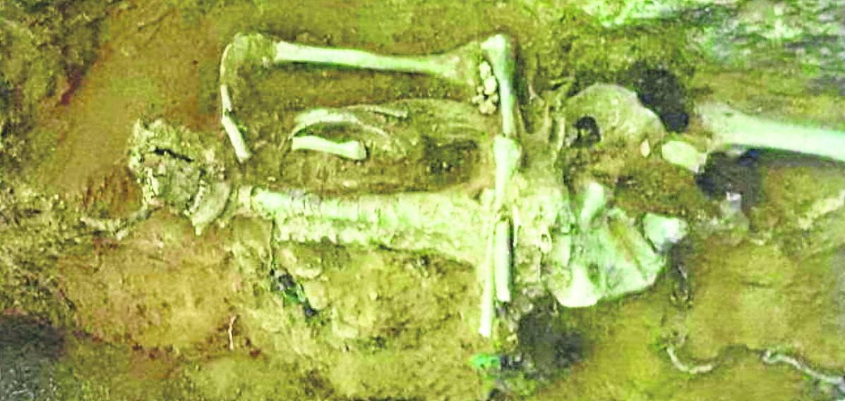 Cráneo, brazo, antebrazo y tronco del esqueleto encontrado en Villada. 