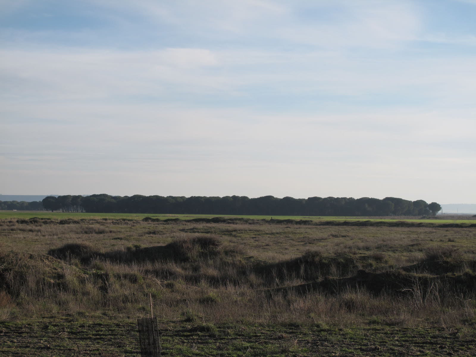 Terrenos de Aldeamayor.