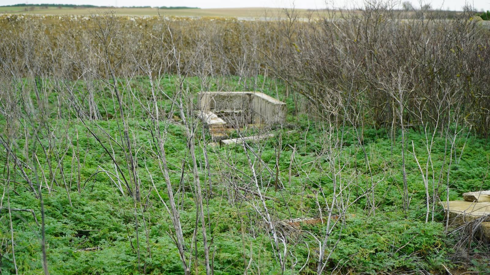 Fotos: Villacreces, un pueblo abandonado en Tierra de Campos