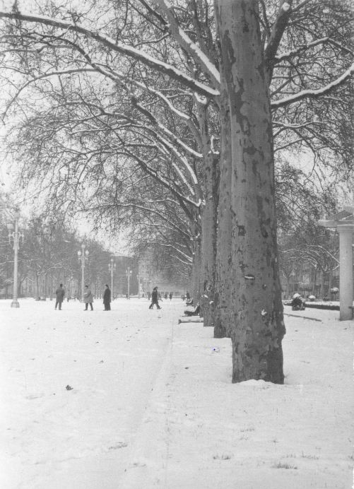 Fotos: Estampas del Valladolid antiguo (LXI): inviernos de nieve