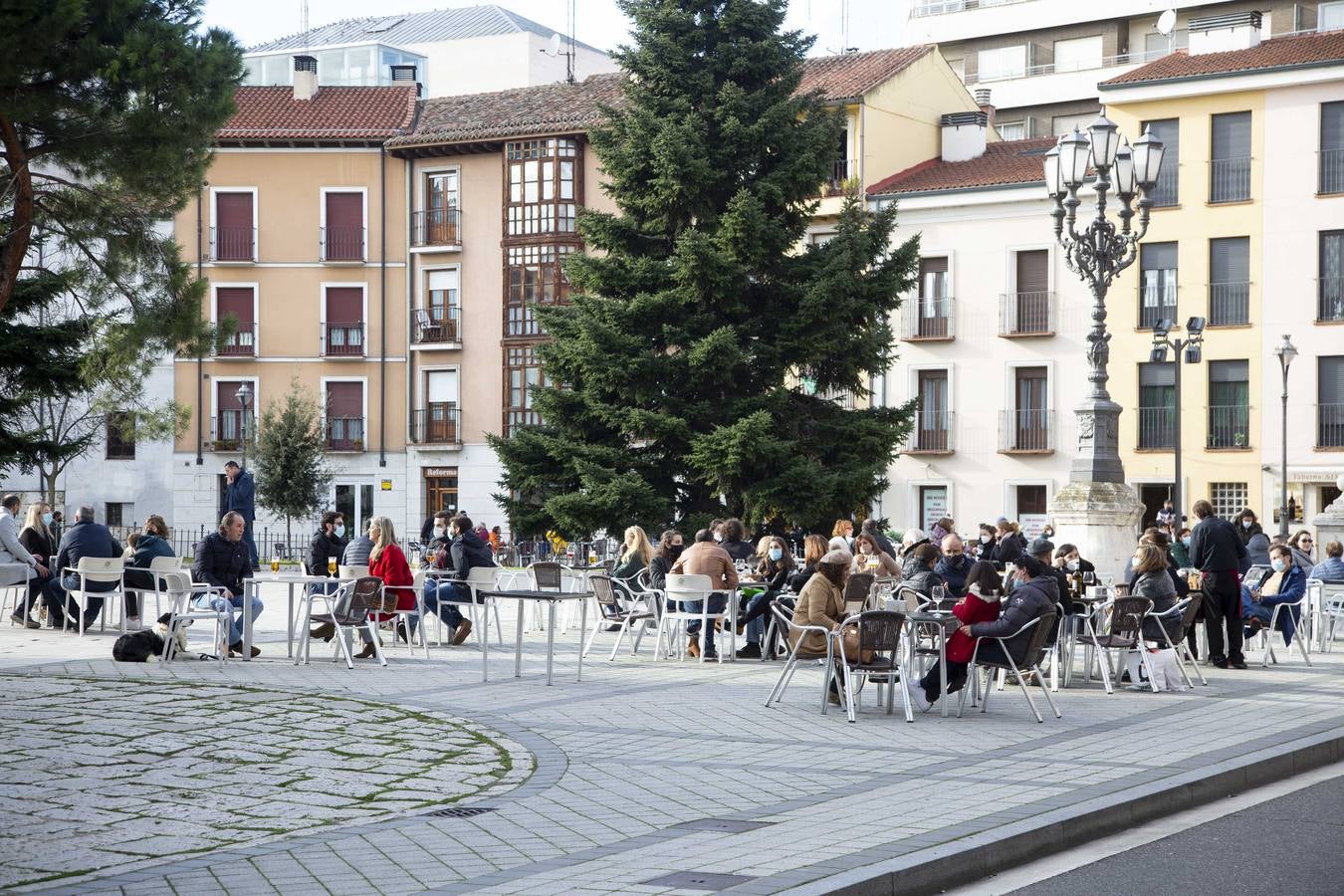 Fotos: Los vallisoletanos no renuncian al vermut de Nochebuena