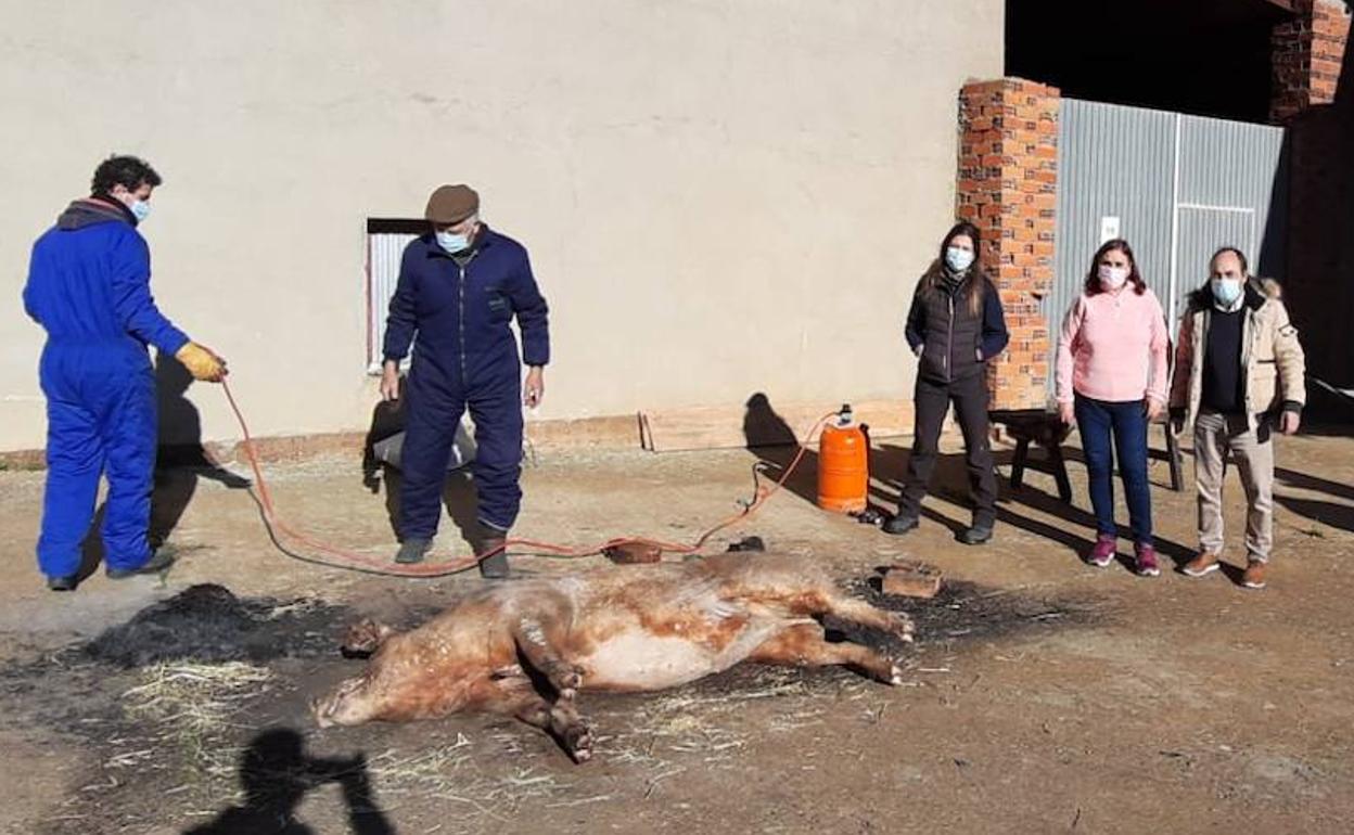 Fiesta de la matanza celebrada el sábado en Urones de Castroponce. 