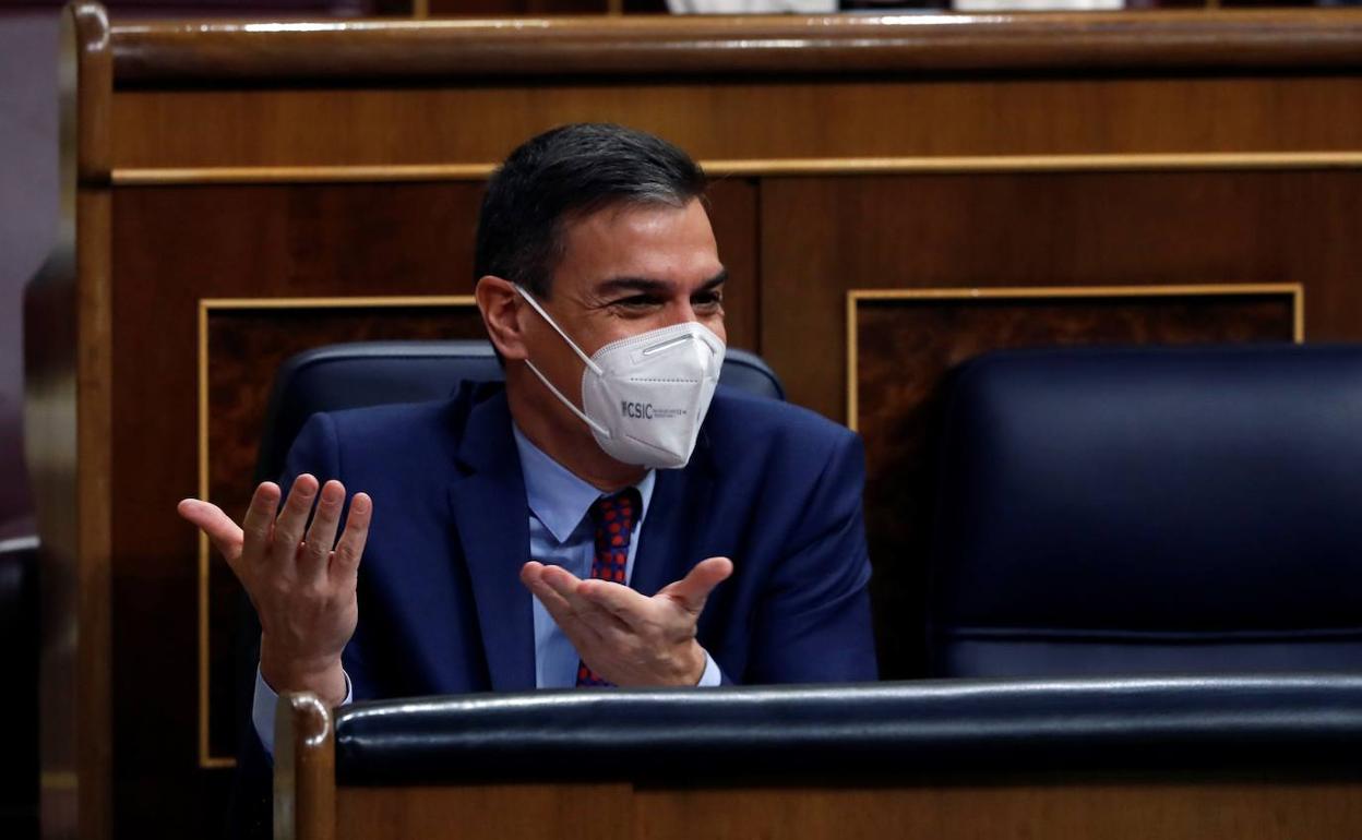 Pedro Sánchez, en el Congreso de los Diputados.