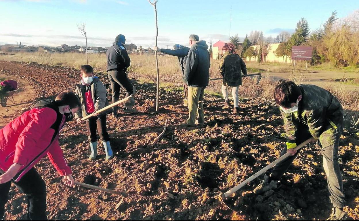 Varios vecinos preparan el terreno para plantar árboles en el entorno del abrevadero de la localidad.