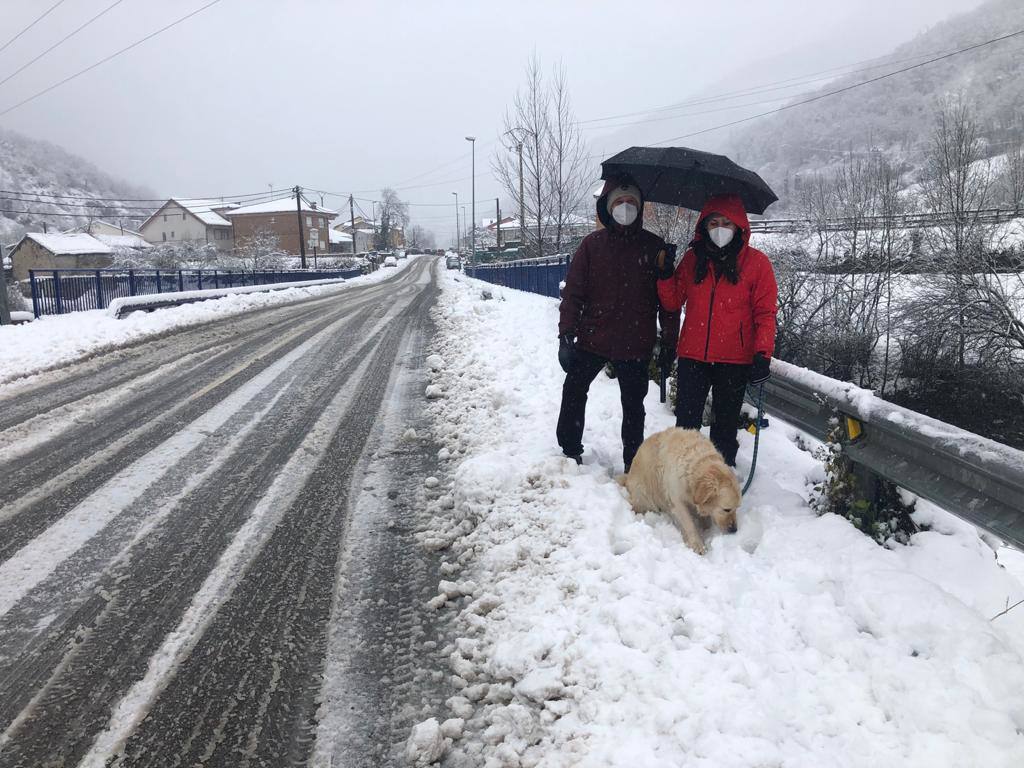 Fotos: Temporal de nieve en Asturias y León