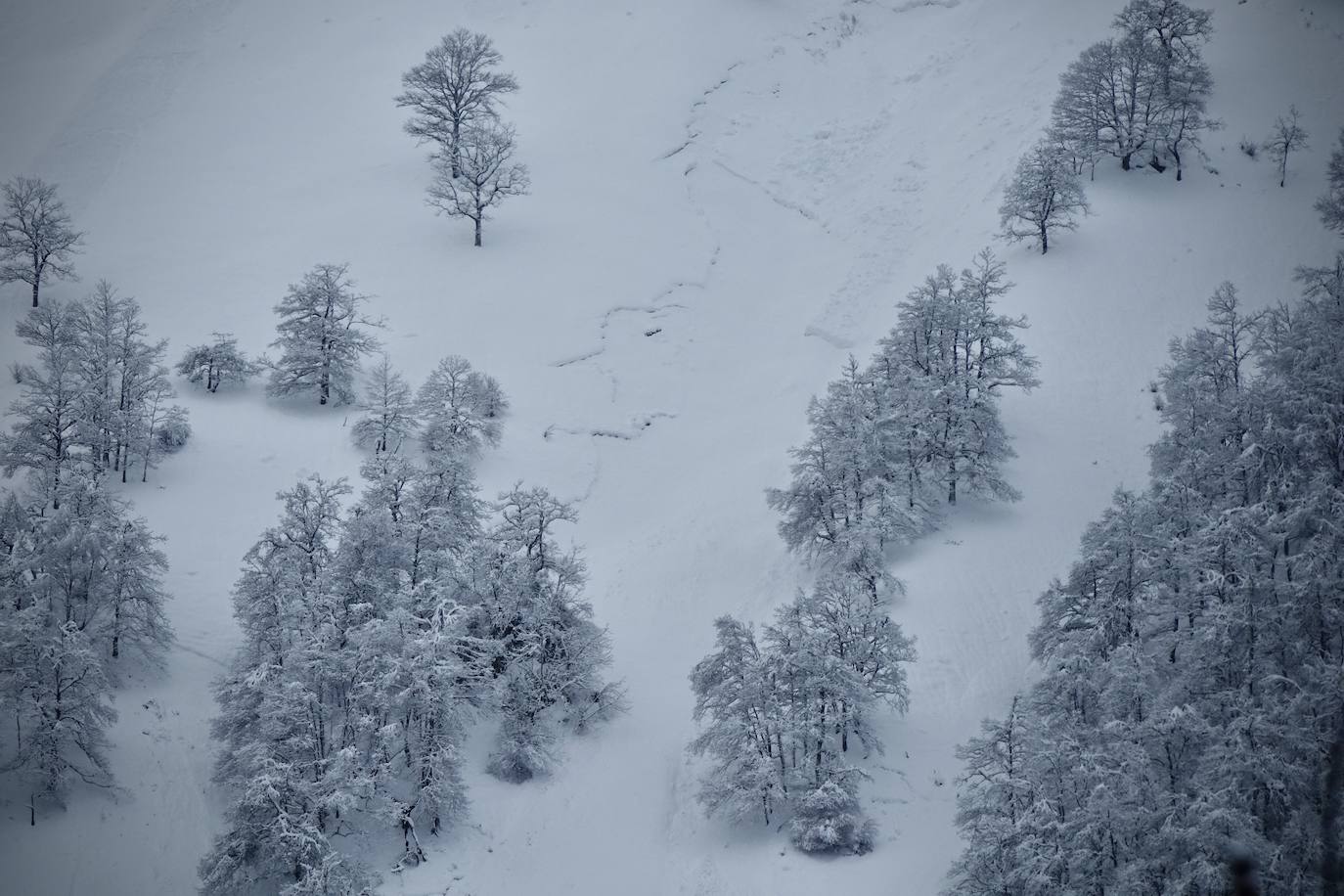 Fotos: Temporal de nieve en Asturias y León