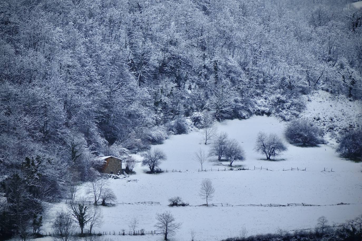 Fotos: Temporal de nieve en Asturias y León