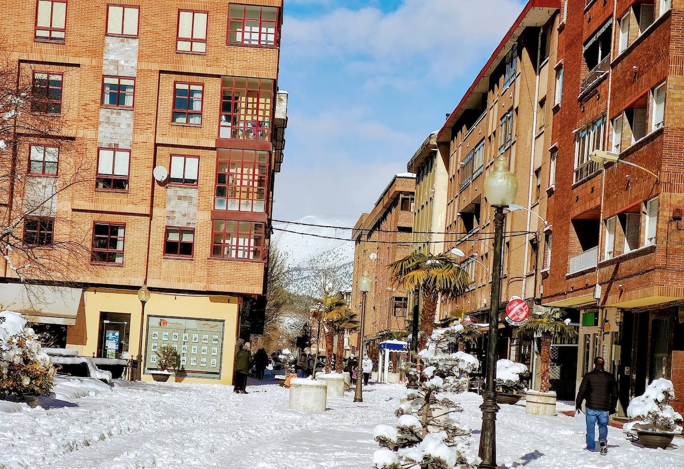 Las intensas nevadas dañan dos carpas del muincipio guardense.