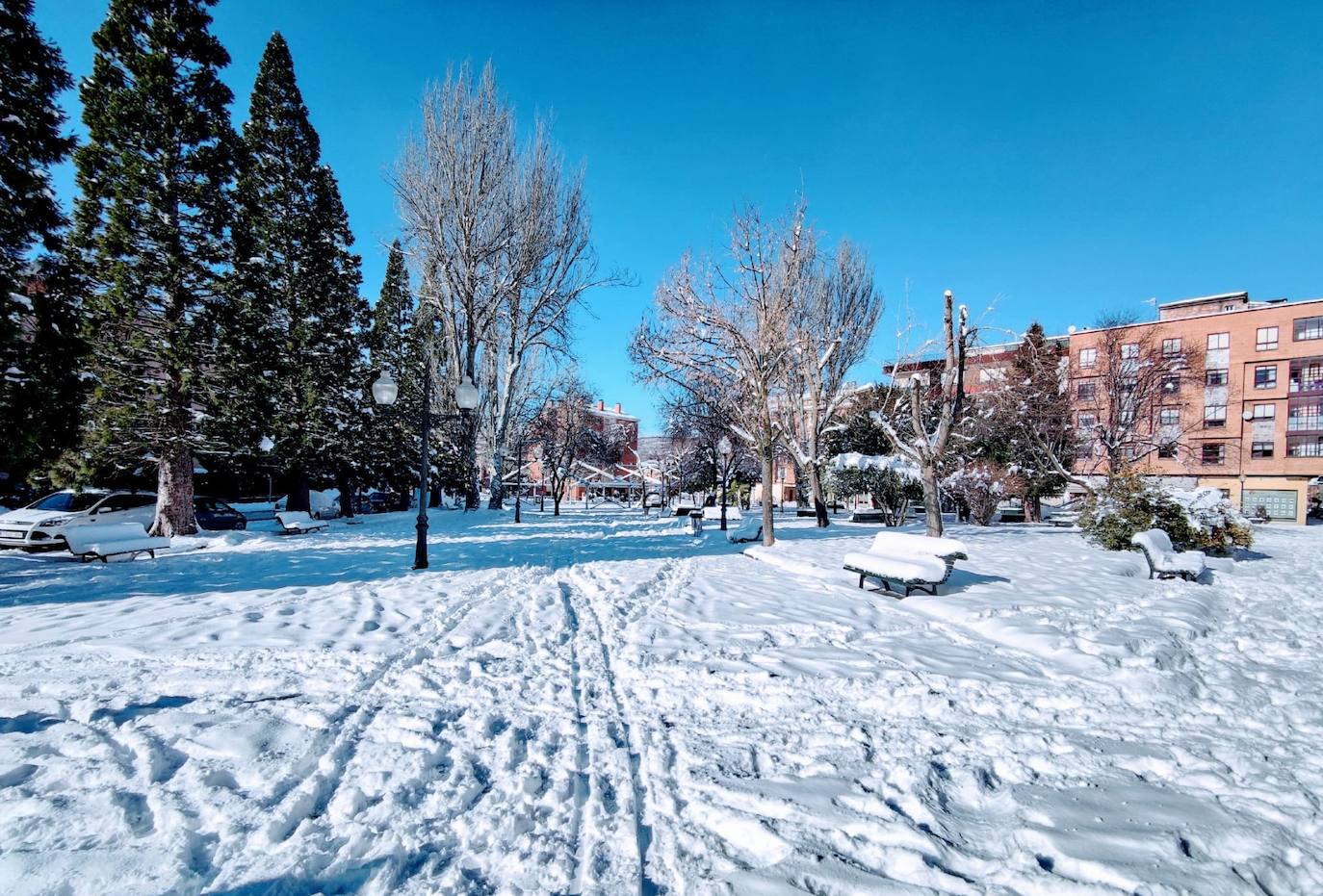 Las intensas nevadas dañan dos carpas del muincipio guardense.